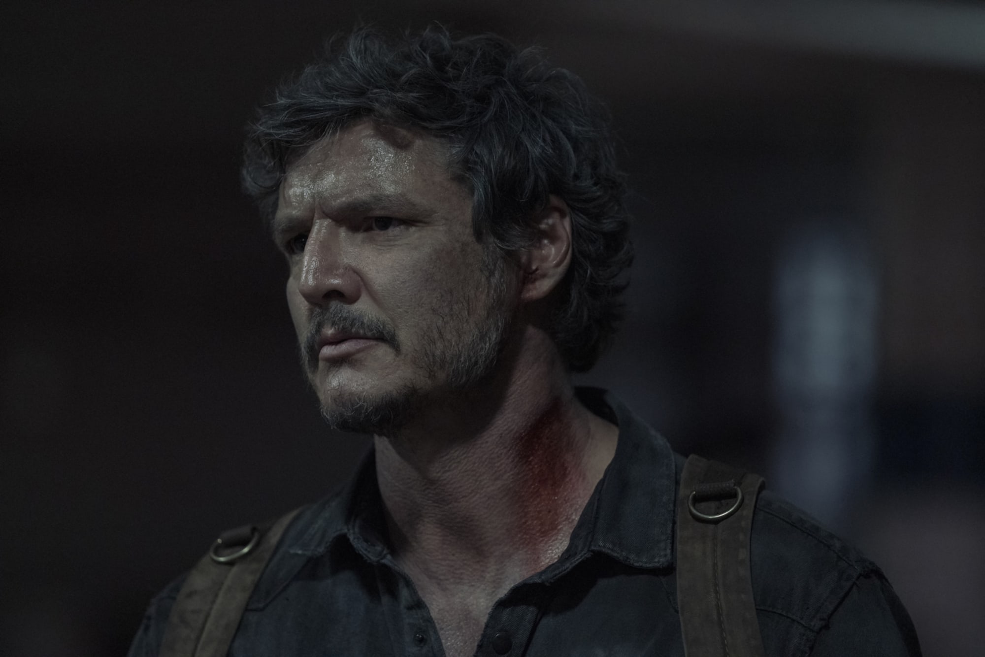 The Last of Us' First Reactions Have Arrived & All Agree on Pedro Pascal's  Performance