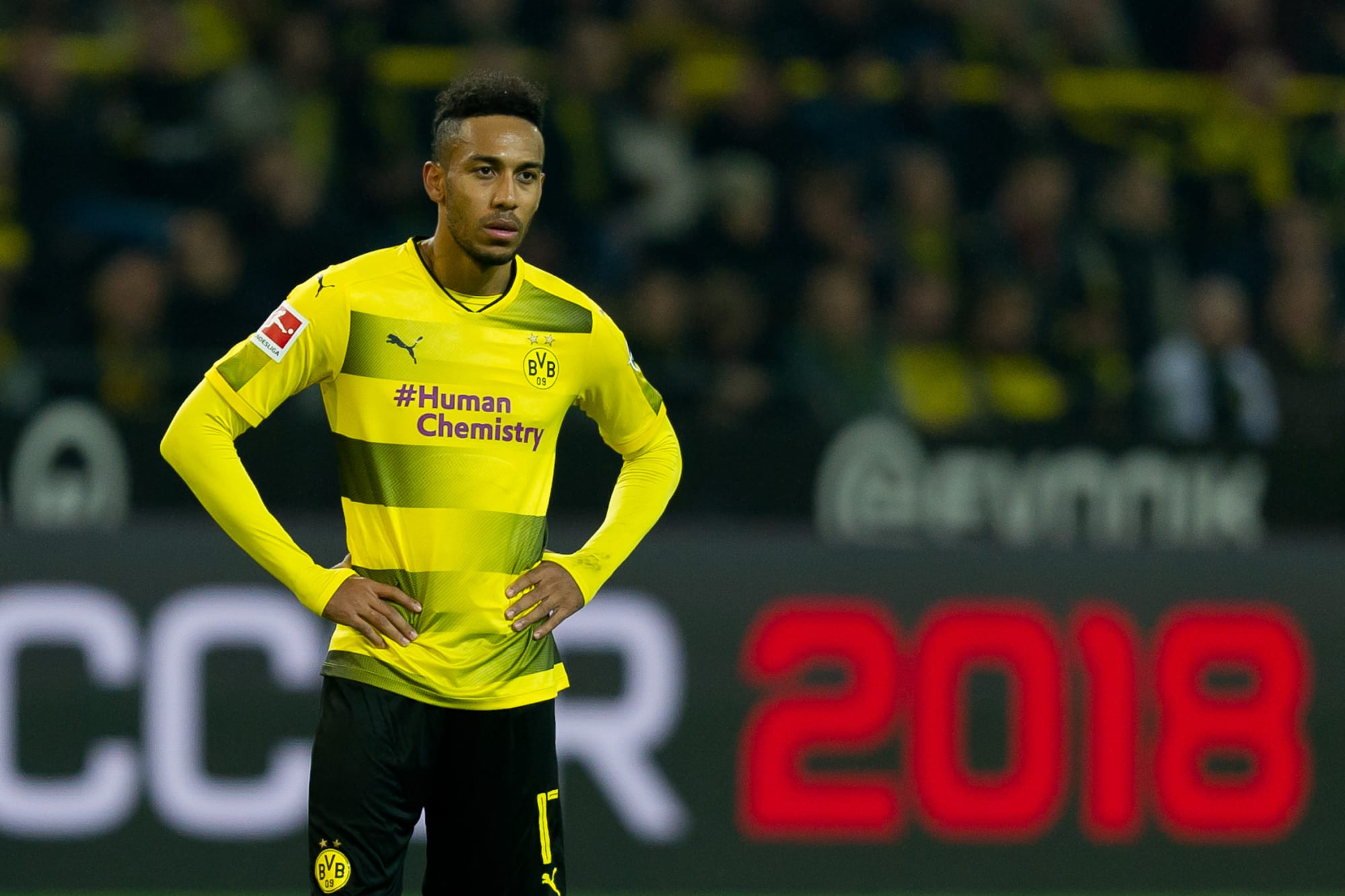 Borussia Dortmund: Selfish Aubameyang has stalled progress ...