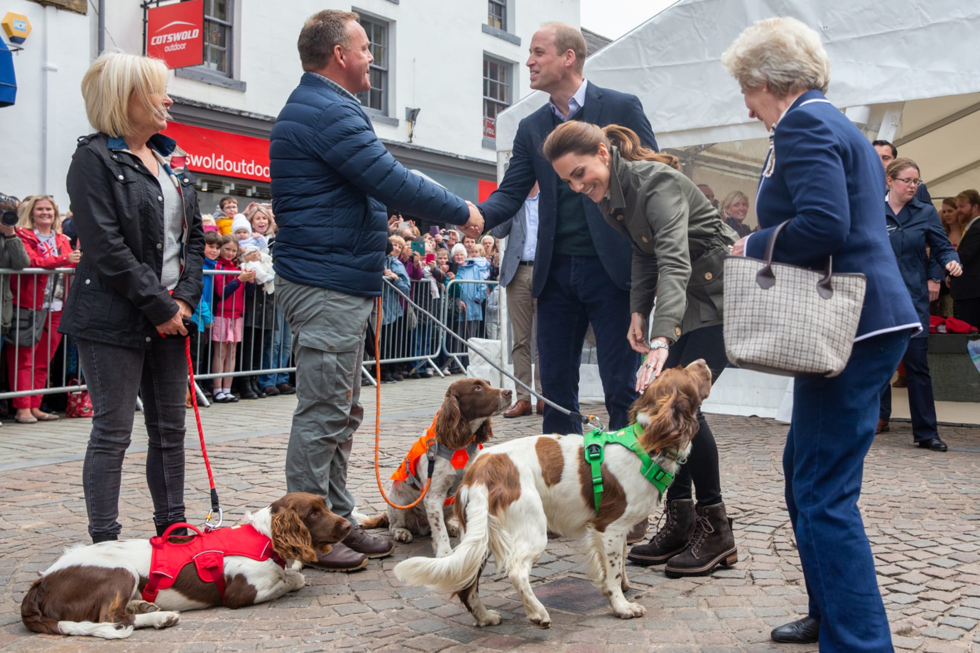 Kate Middleton met a therapy dog in training named Prince