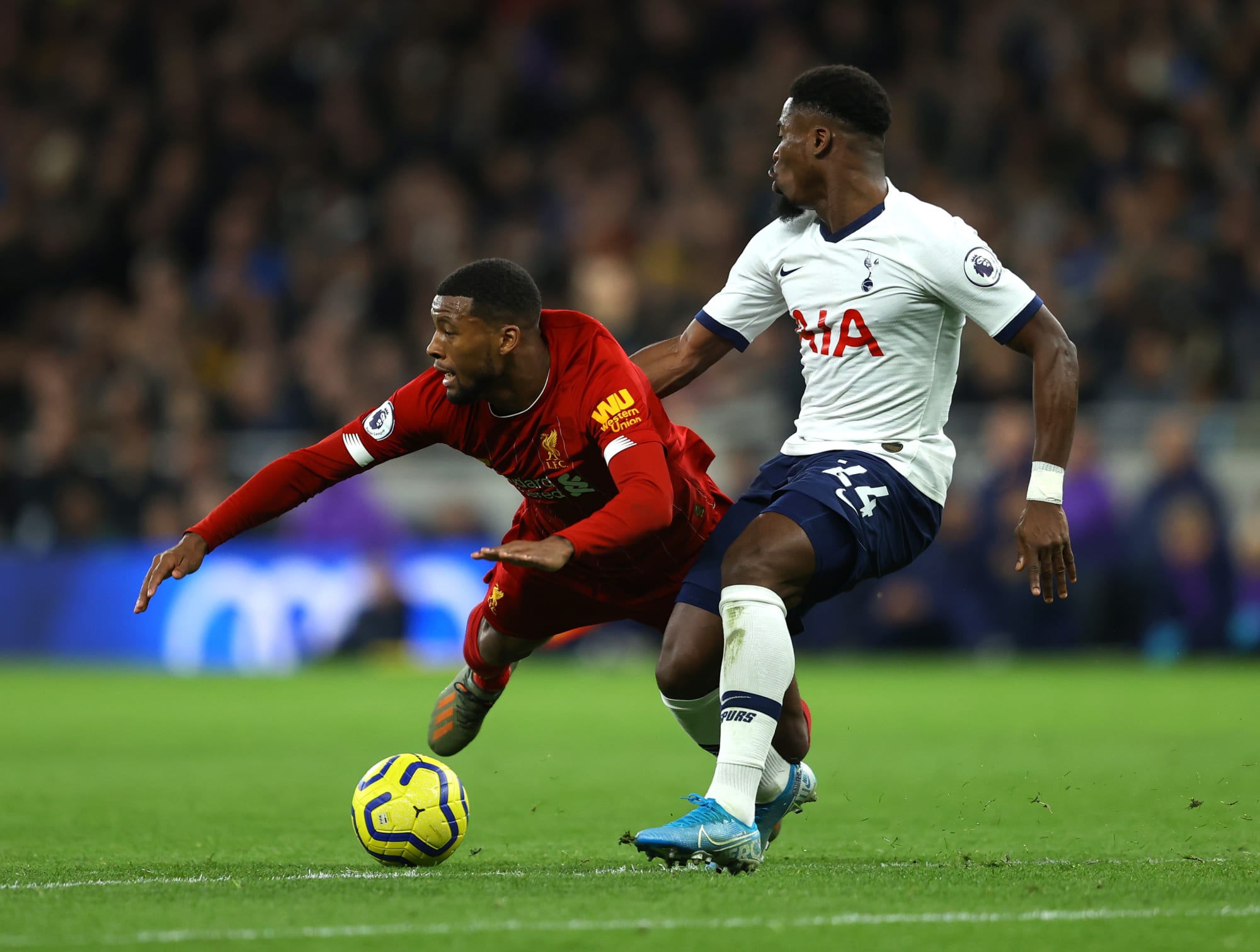 Tottenham Hotspur cannot afford to lose this player