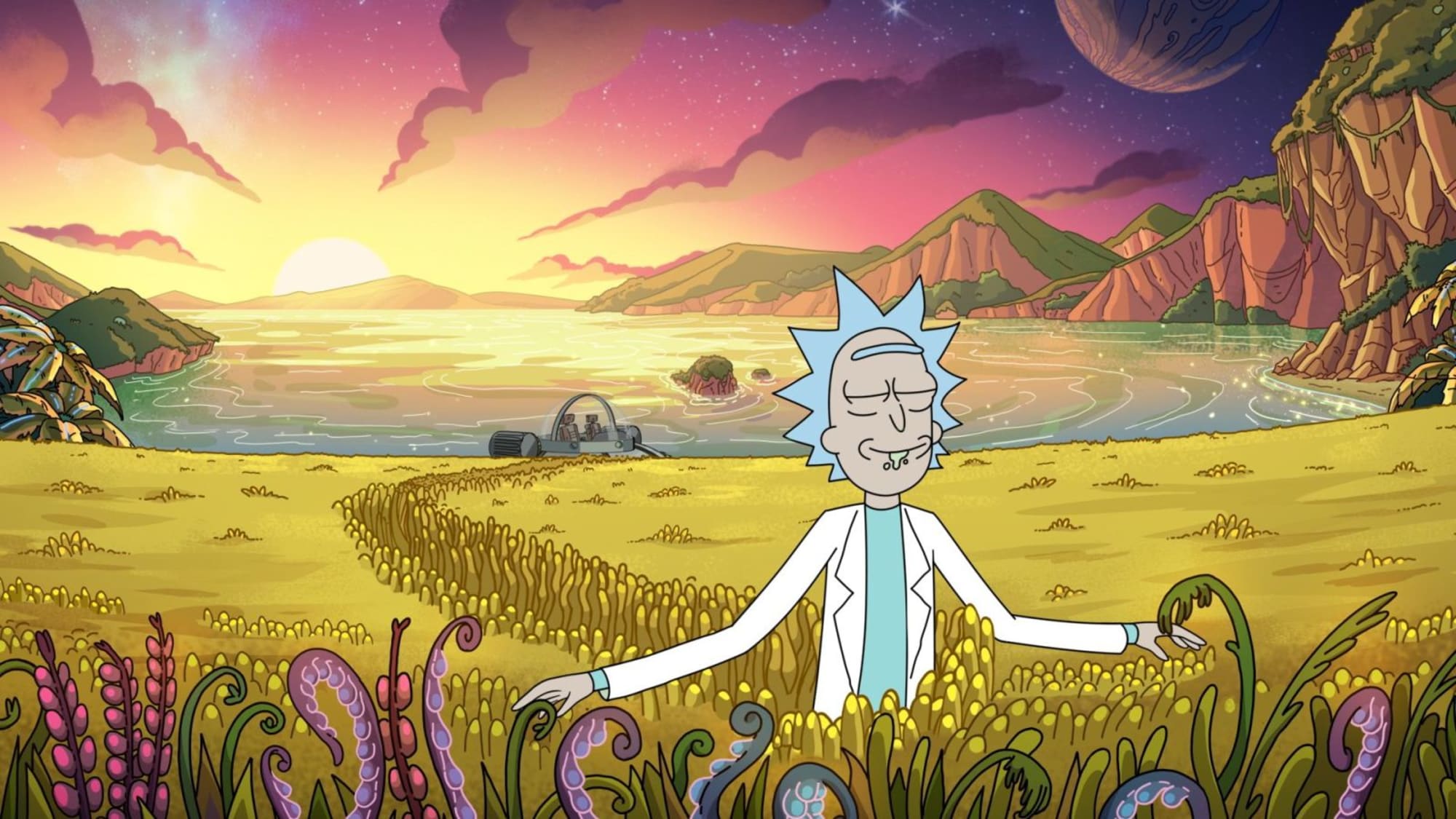 where to watch rick and morty online streaming