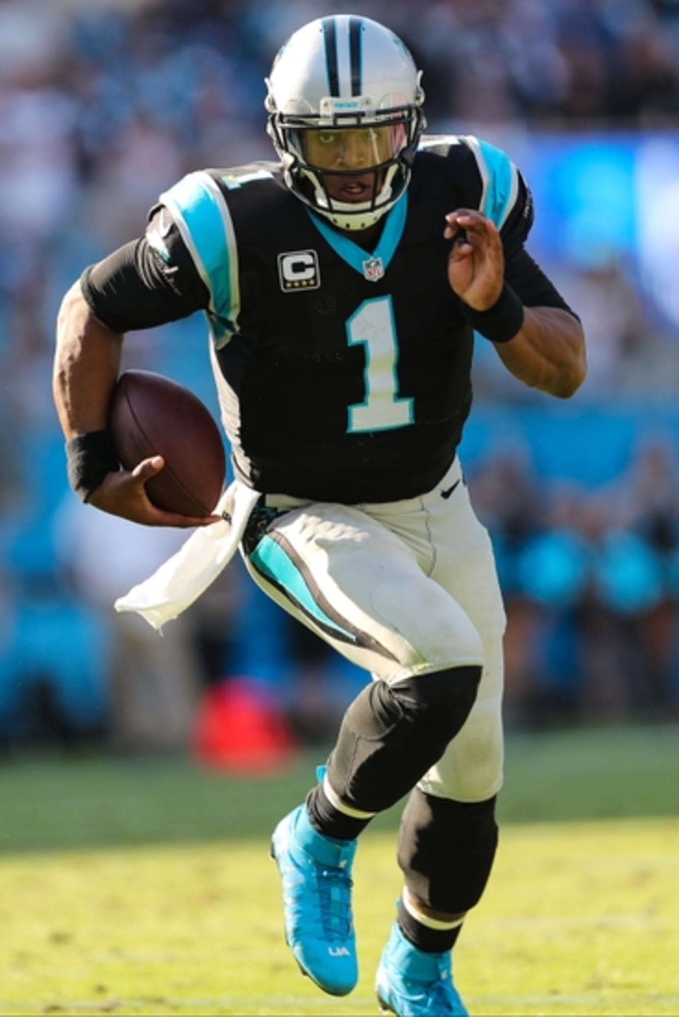 49ers vs. Panthers - Game Preview and Pick - NFC 