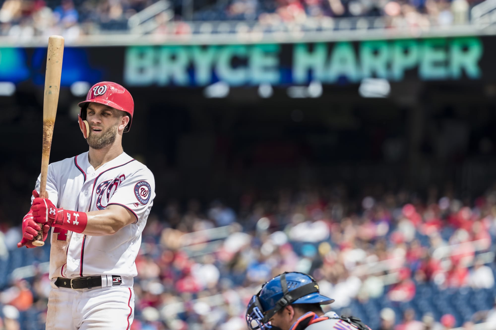 St. Louis Cardinals: Which team should fans want Harper to sign with?