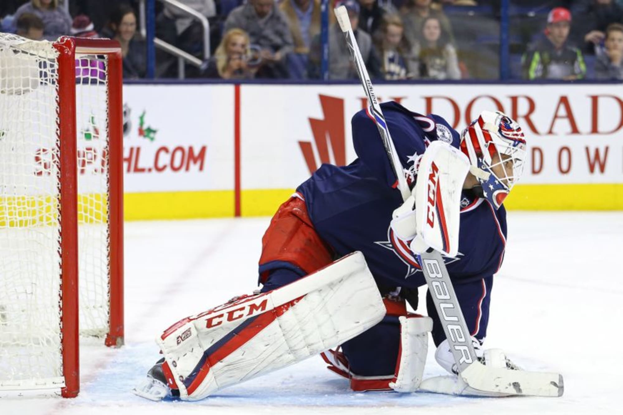 Toronto Maple Leafs Claim Curtis McElhinney Off Waivers