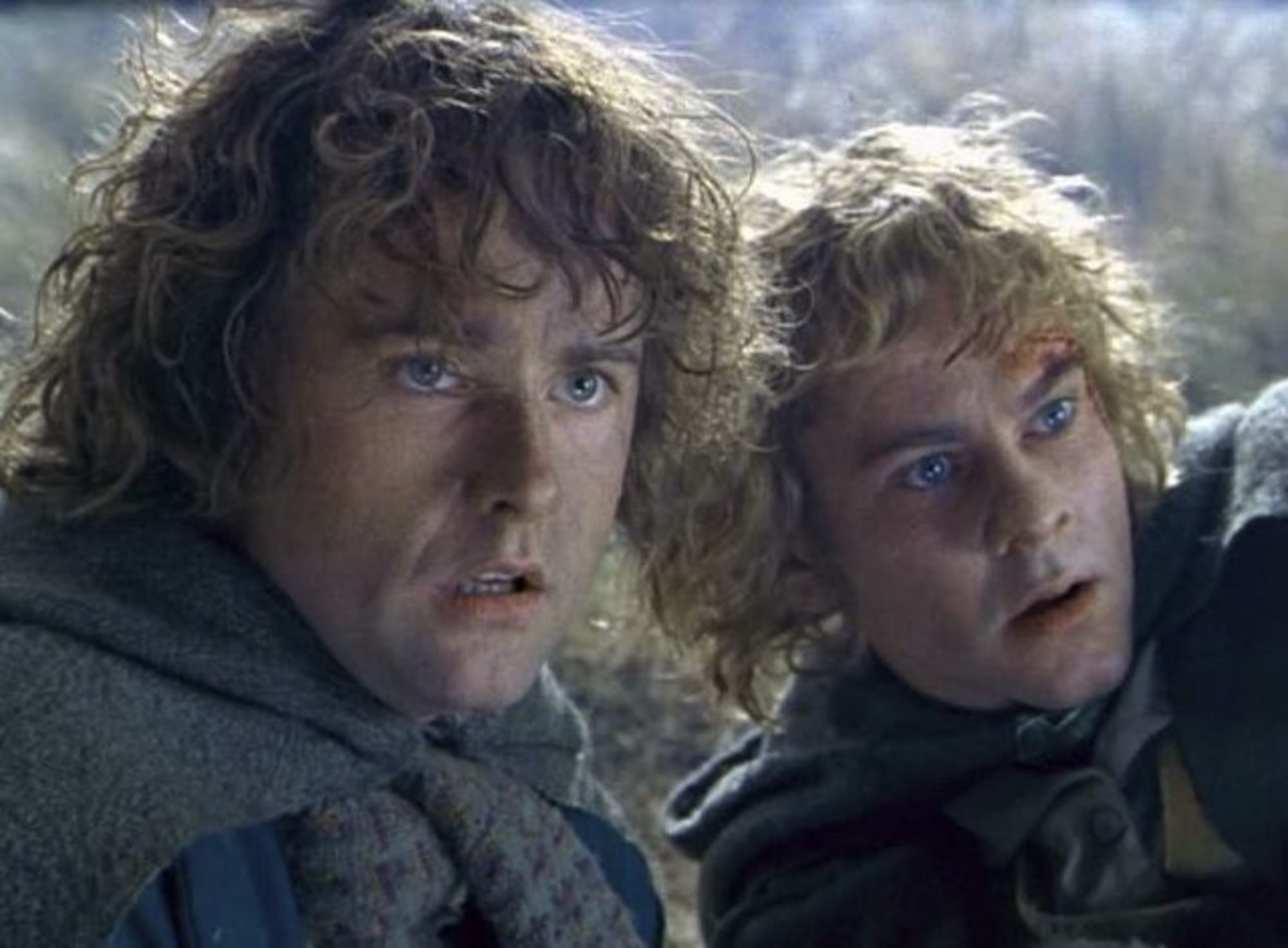 Lord of the Rings nearly had a nude hobbit scene for Merry 