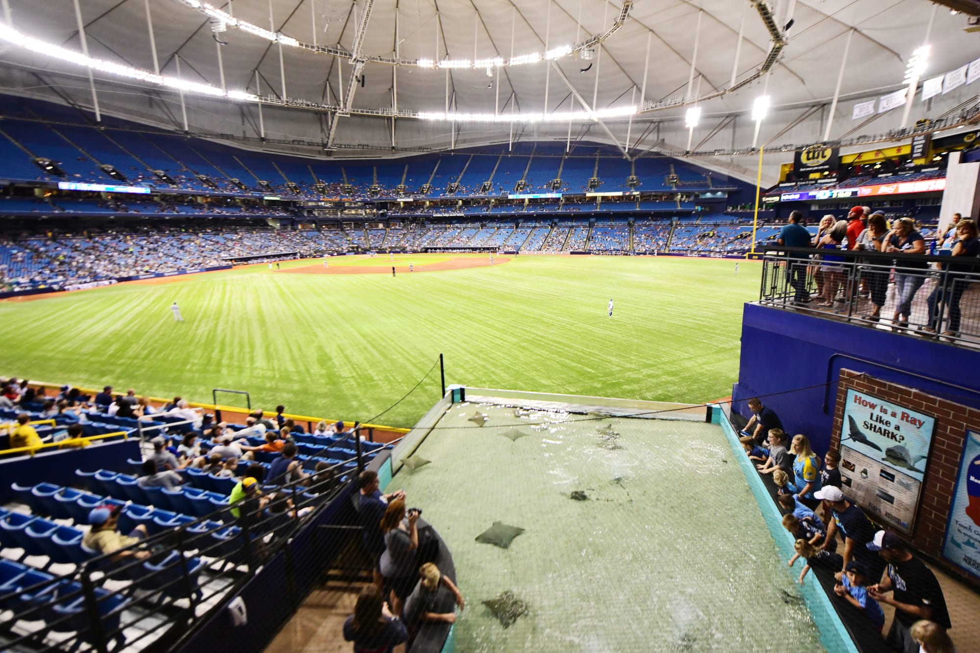 Tampa Bay Rays Show Creativity In Their New Stadium Plans