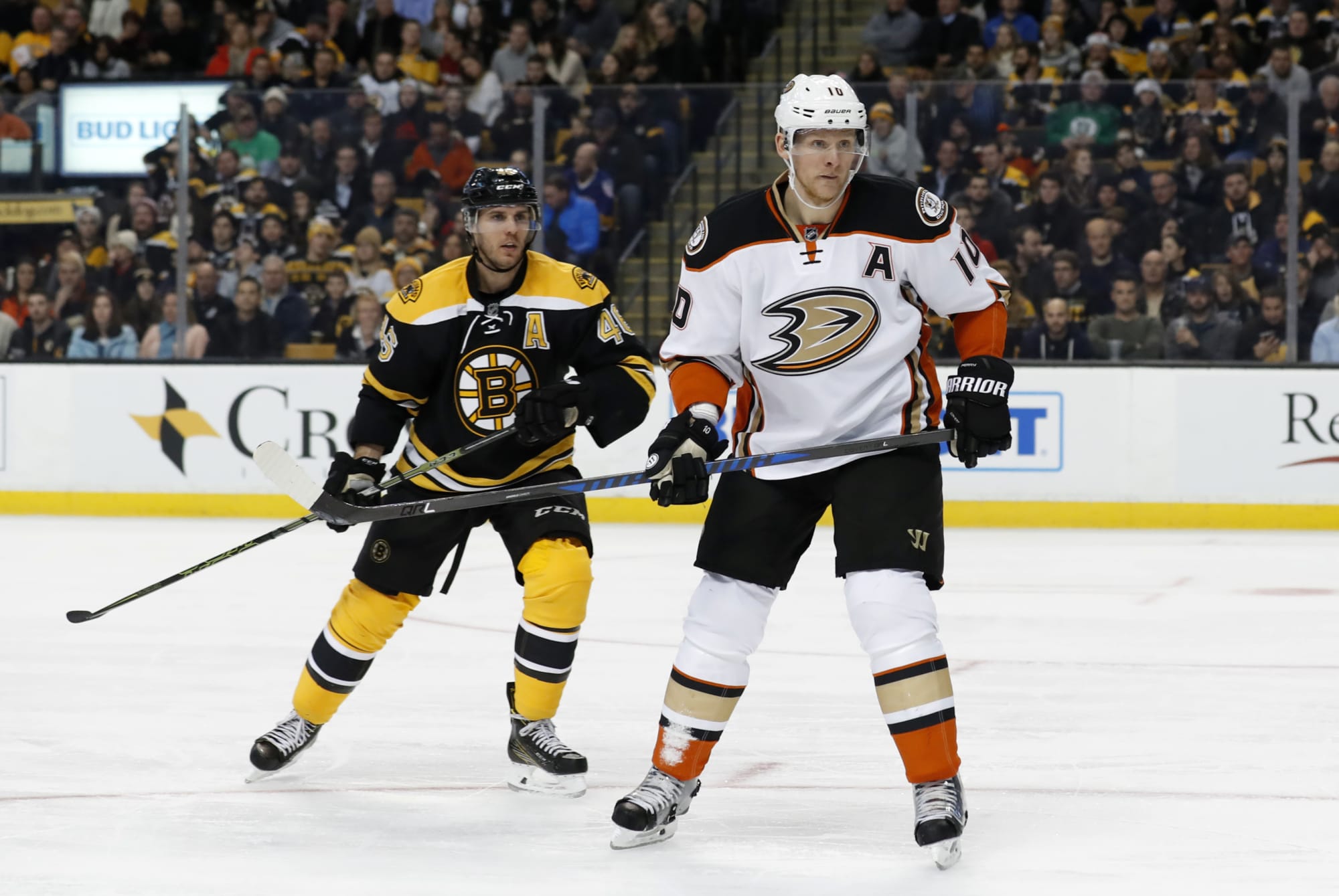 Boston Bruins: Is it worth picking up Corey Perry from free agency?