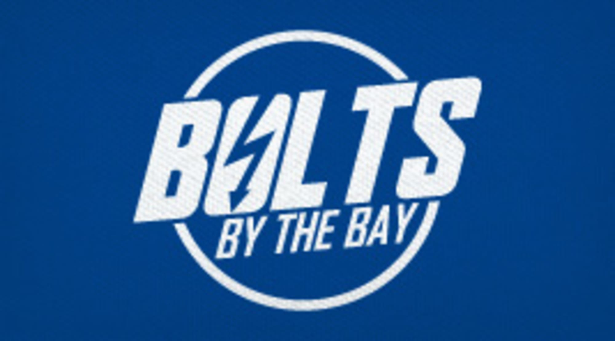 Tampa Bay Lightning's Mascot ThunderBug Bolts by the Bay A Tampa