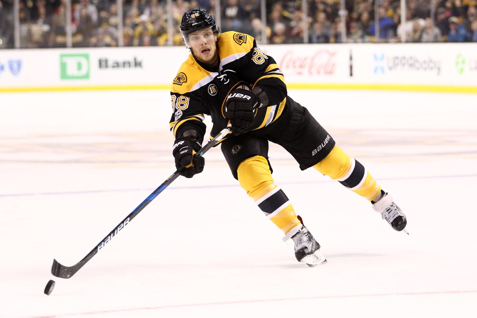 Boston Bruins David Pastrnak Has The Skills To Become A Legend