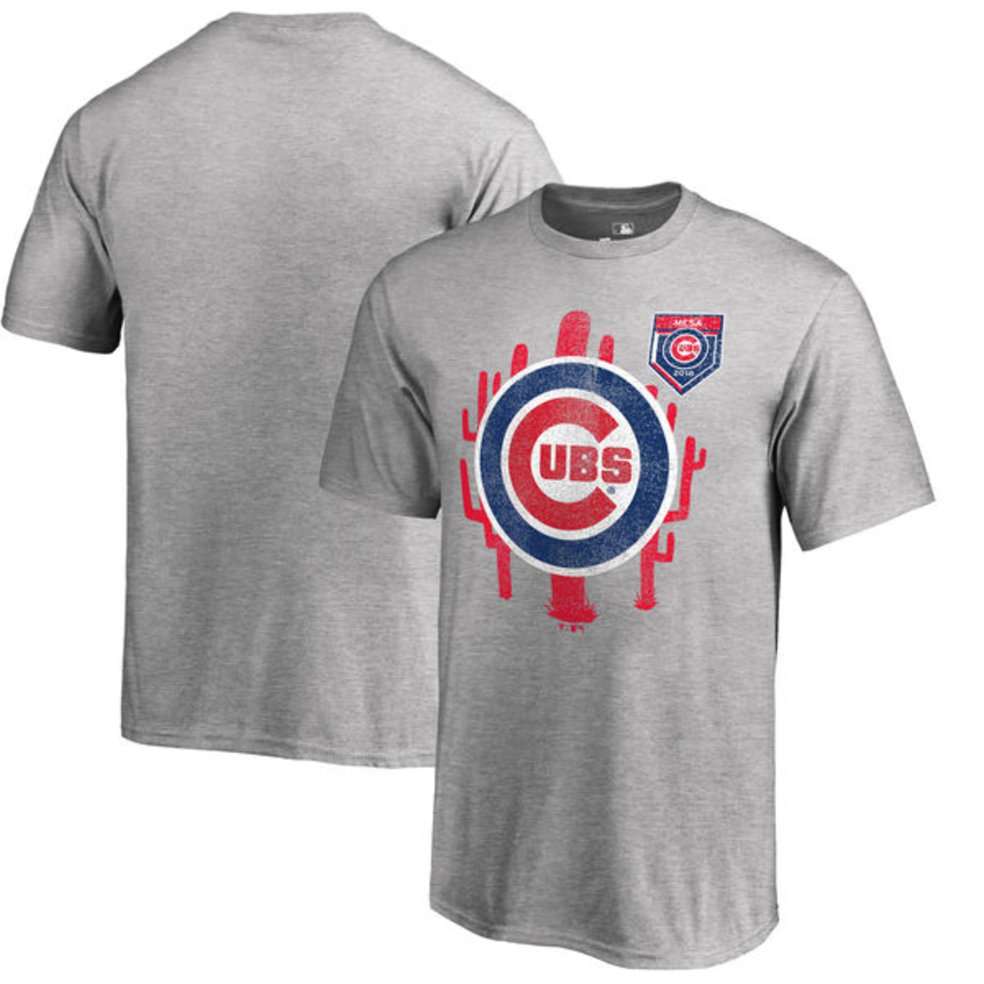 chicago-cubs-spring-training-gift-guide