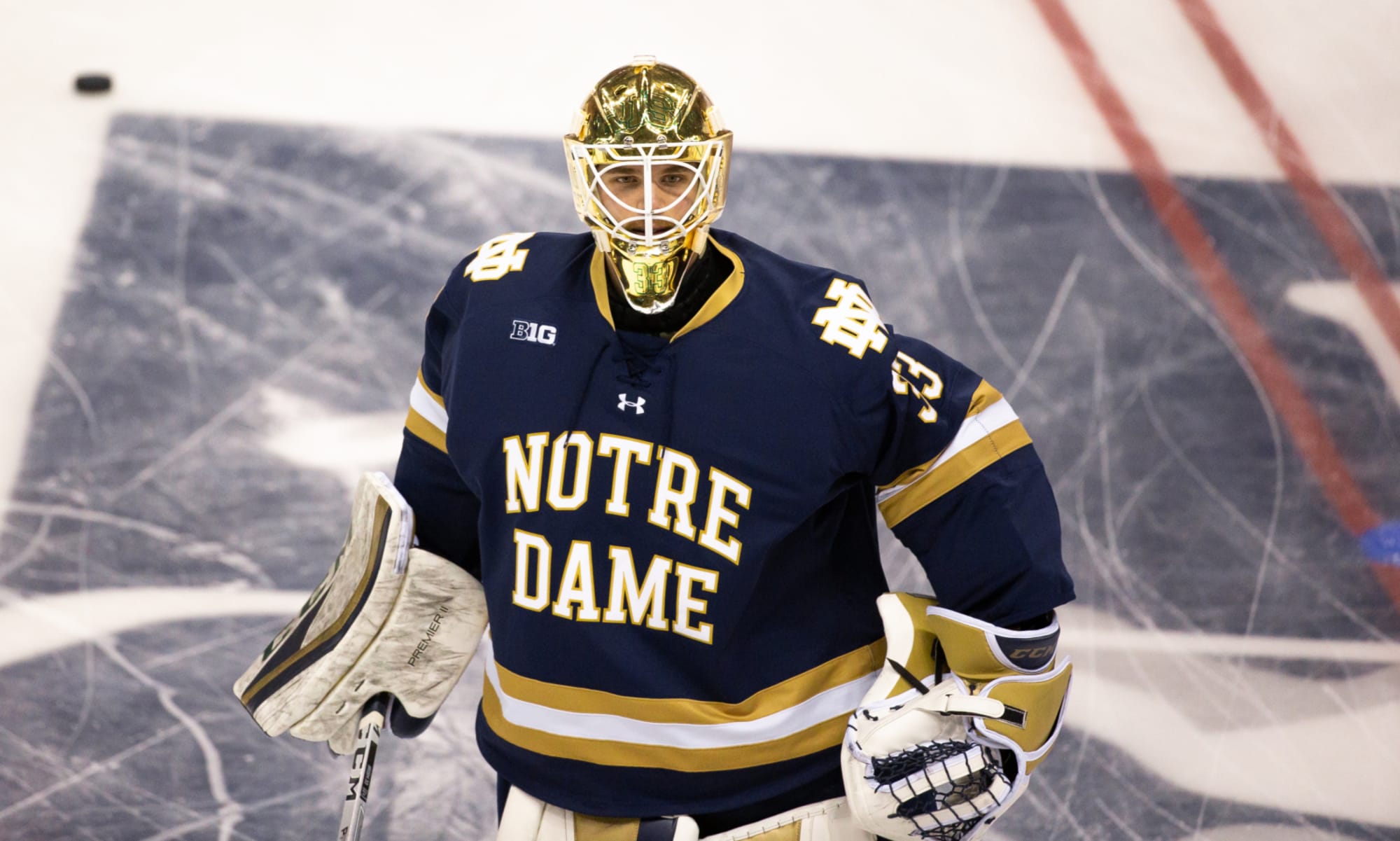 Notre Dame Hockey 3 players that will be drafted to the NHL