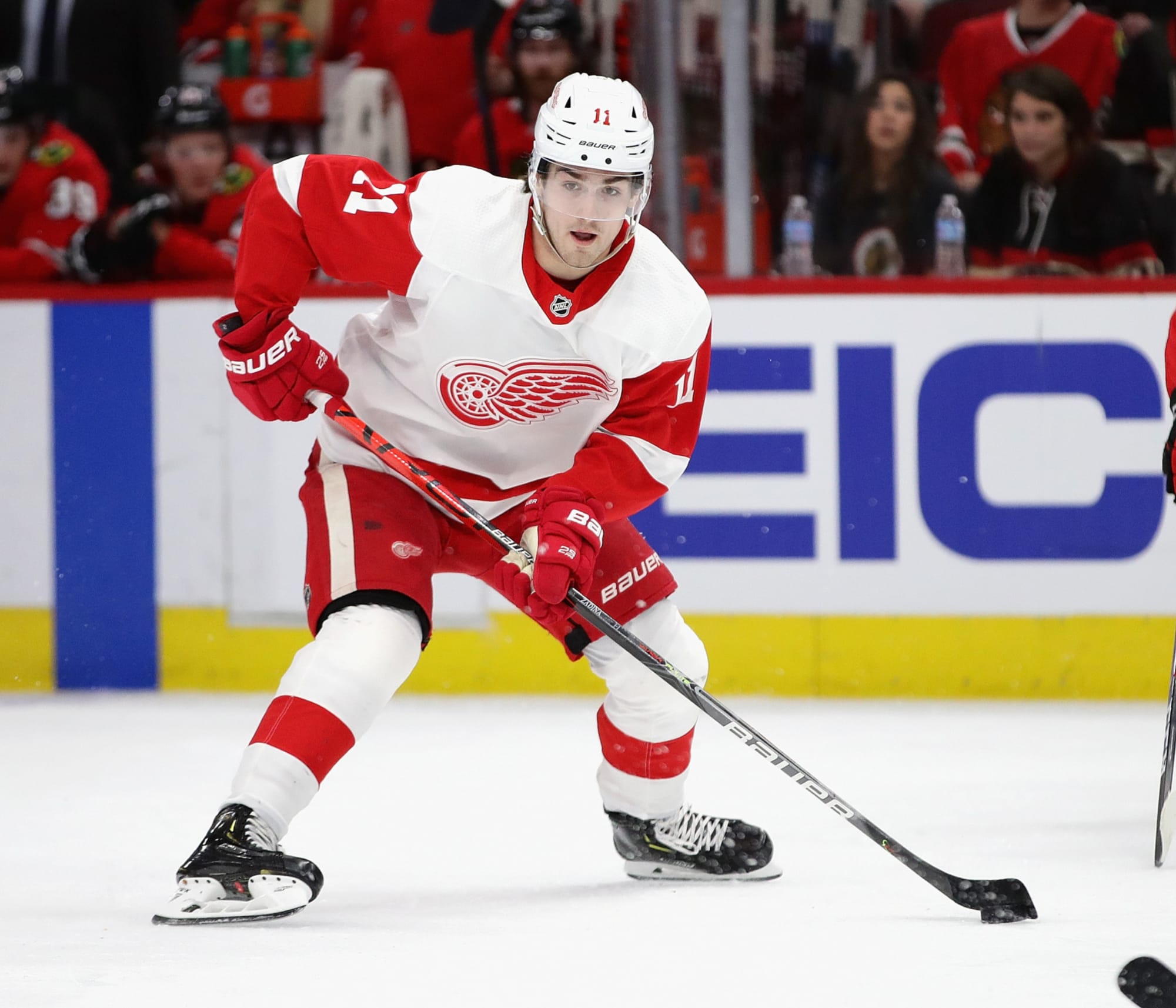 Red Wings: Filip Zadina finding his stride as a professional