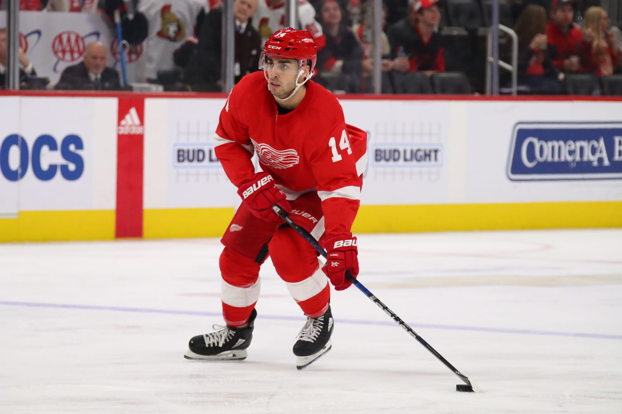 Detroit Red Wings: Robby Fabbri will anchor second line with Filip Zadina