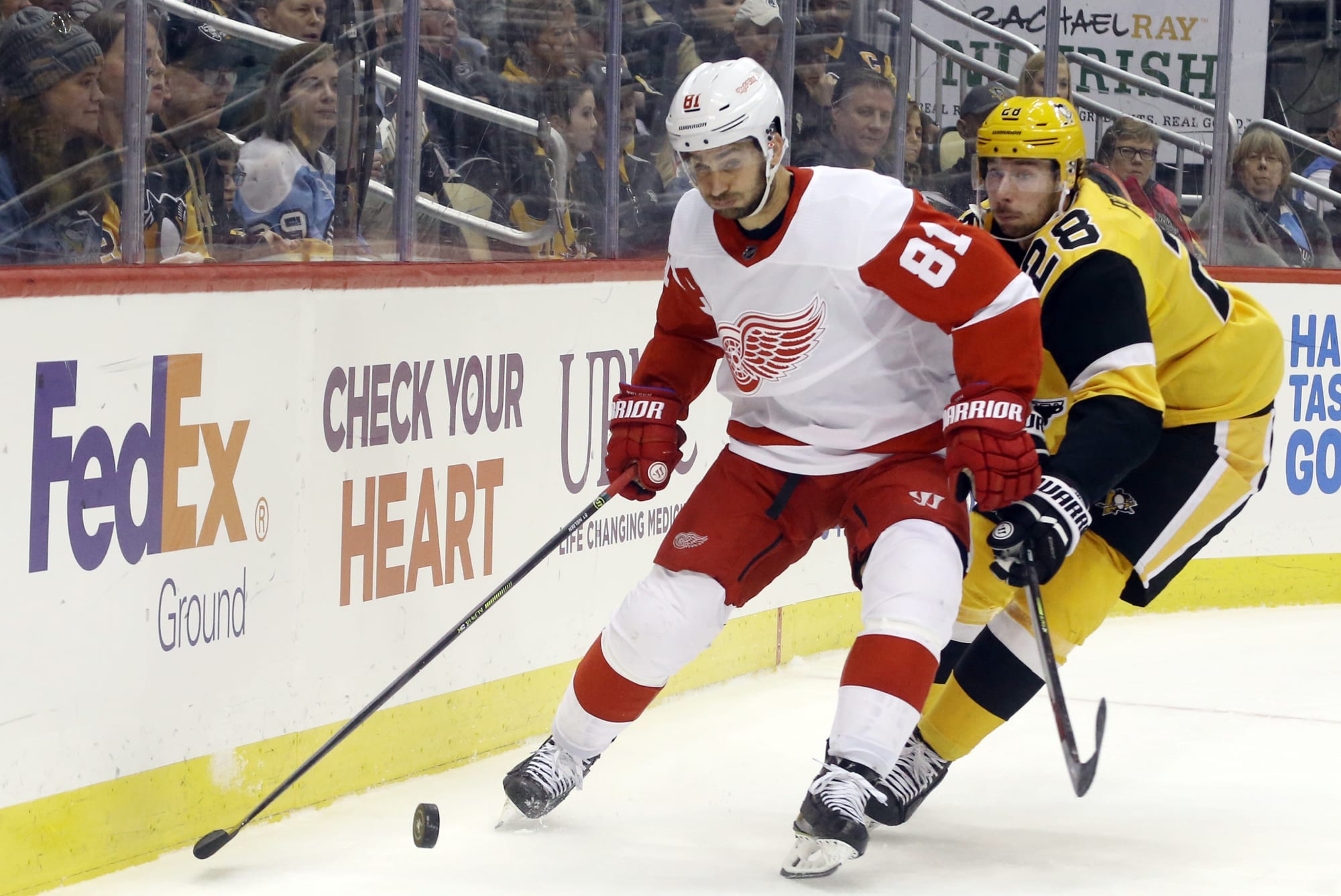 Detroit Red Wings: Frans Nielsen the odd-man out in training camp