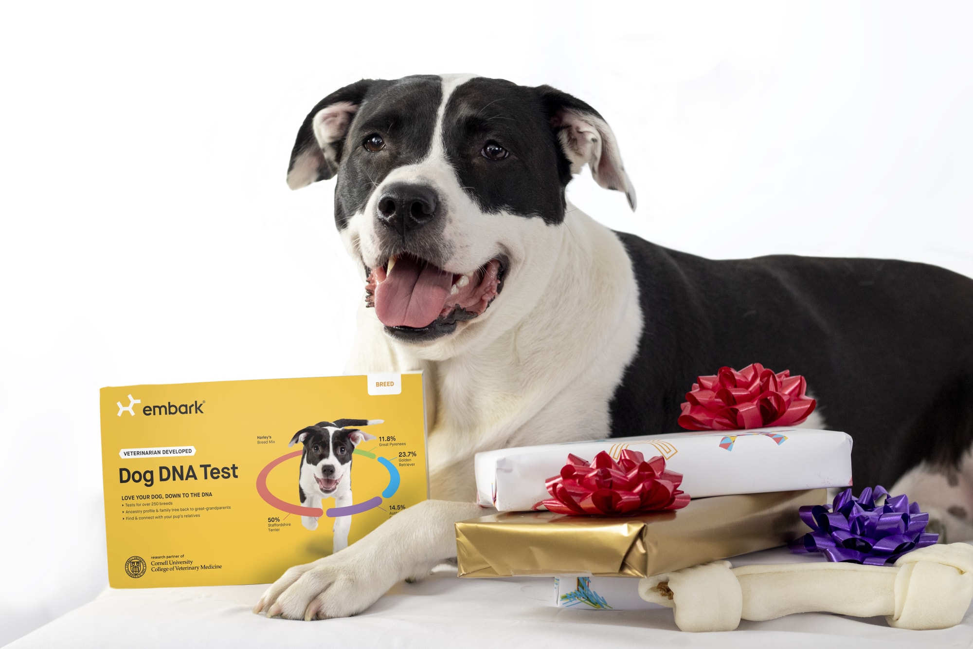 Embark dog DNA kits tell us everything we need to know about our pups