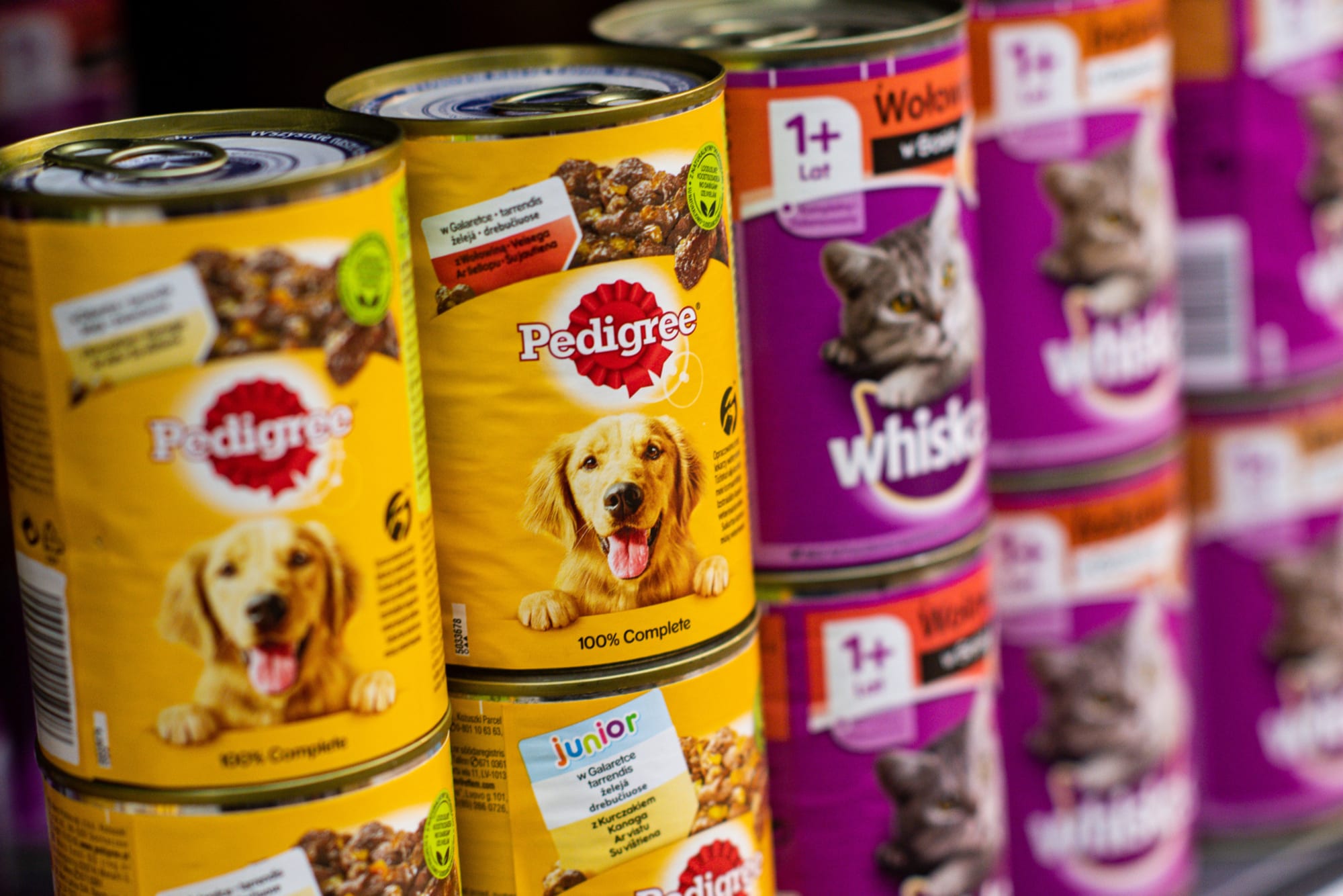 Canned food shortages are causing pet owner concerns