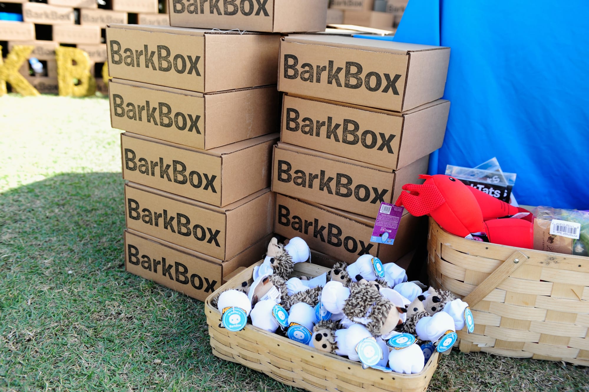 BarkBox has some fun with April Fools' Day, creates a very unique box