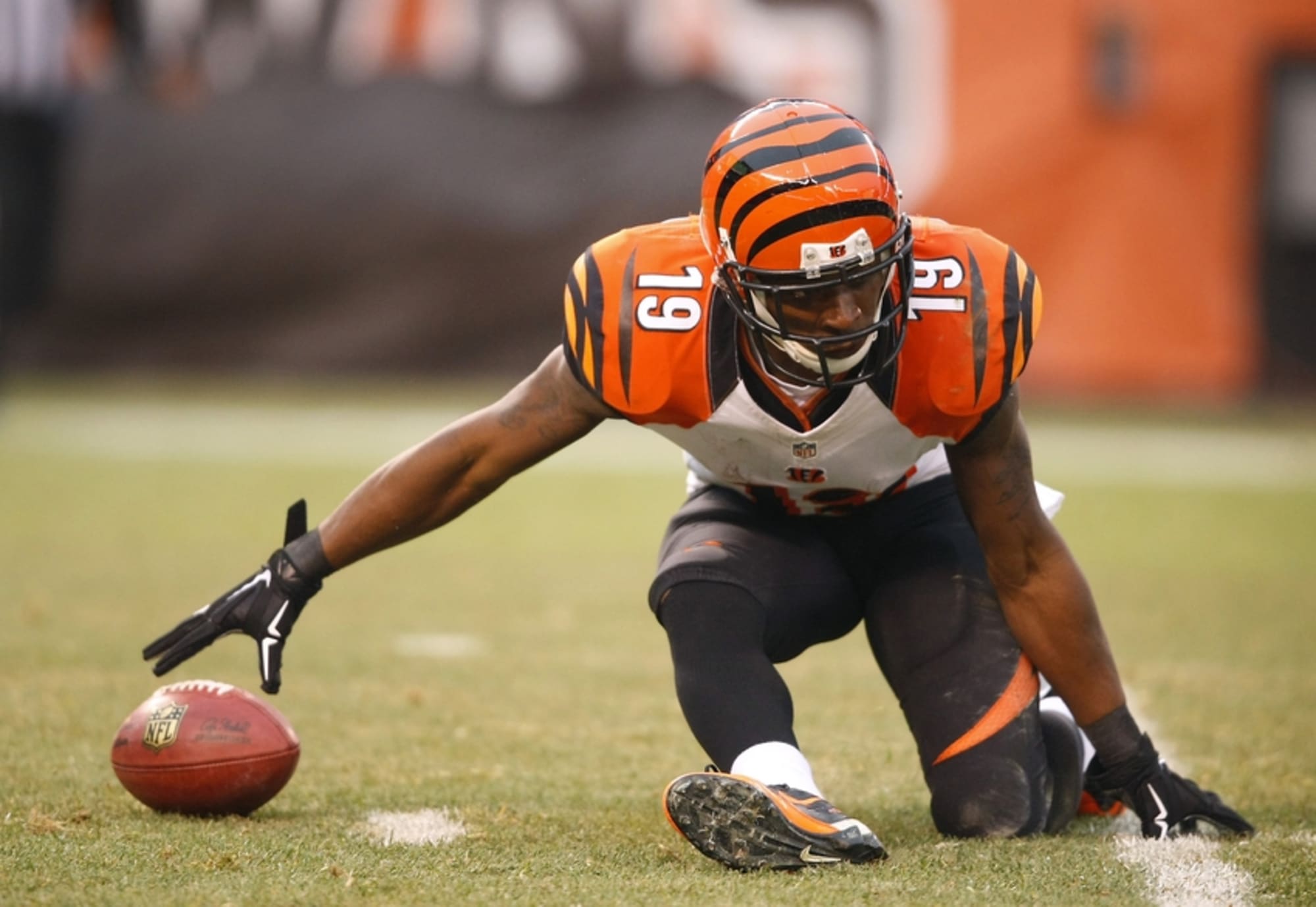 NFL Standings Can The Cincinnati Bengals Make The Playoffs?