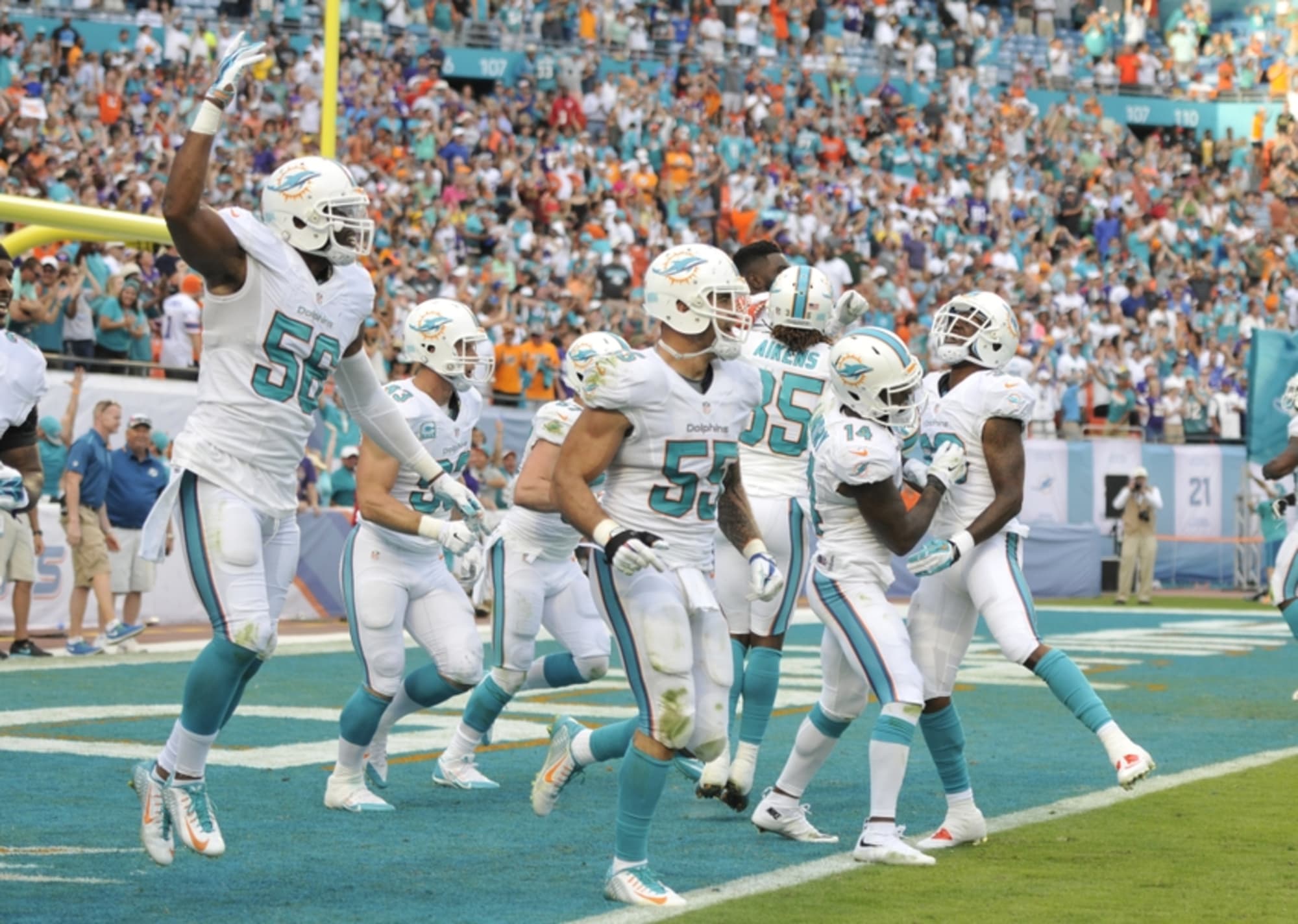 NFL Standings Can Miami Dolphins Make The Playoffs?