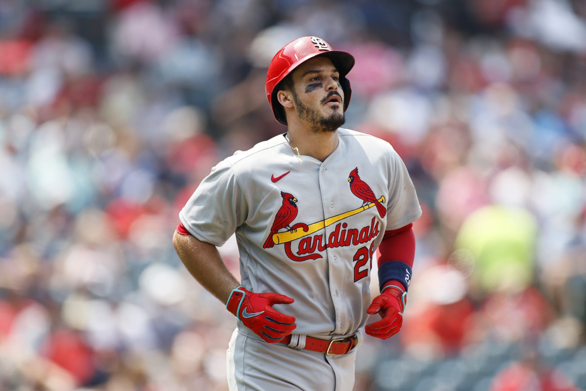arenado cardinals fansided ejected rockies