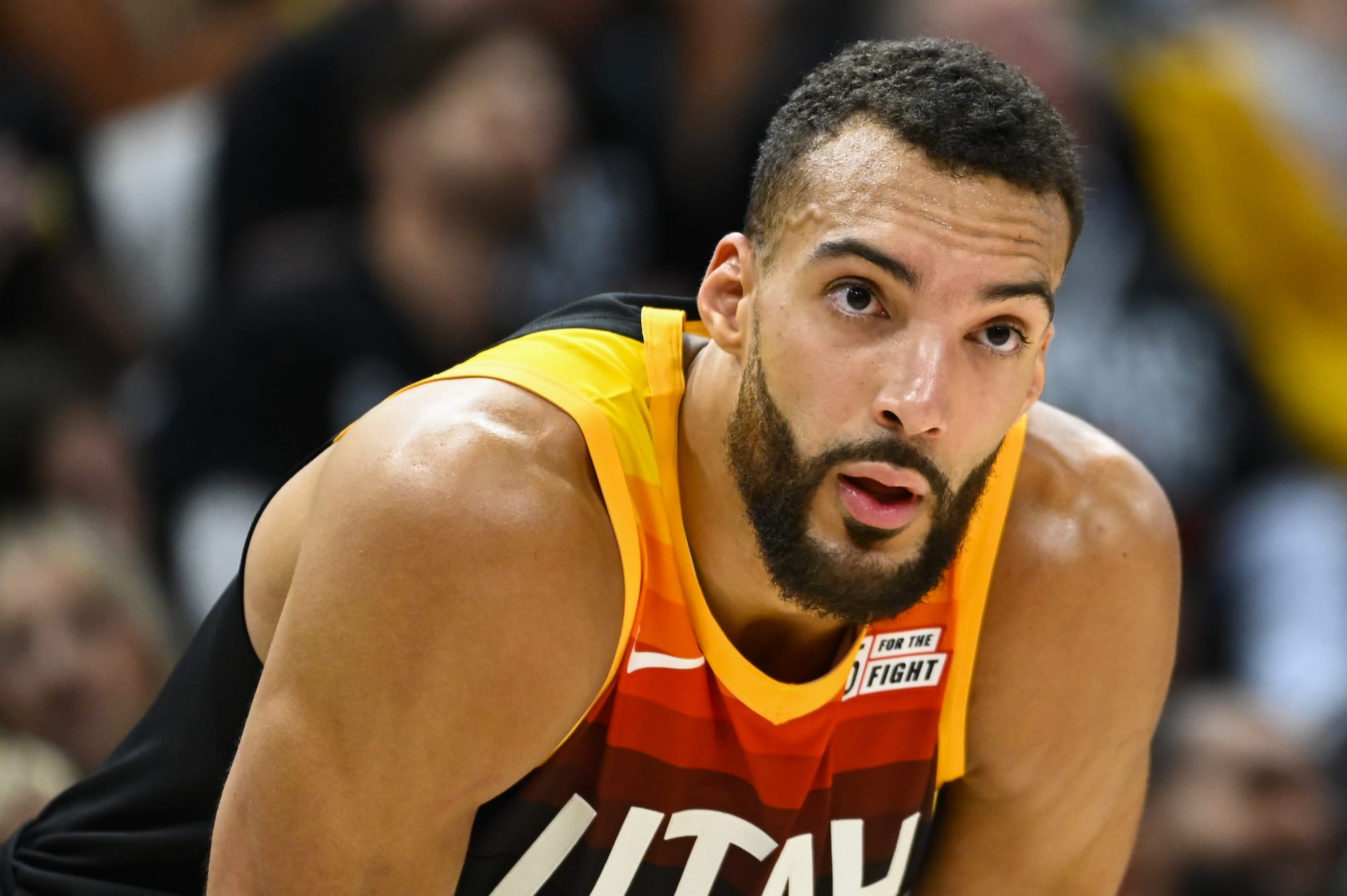 The Lengthy Two: How excellent does Rudy Gobert make the Wolves?