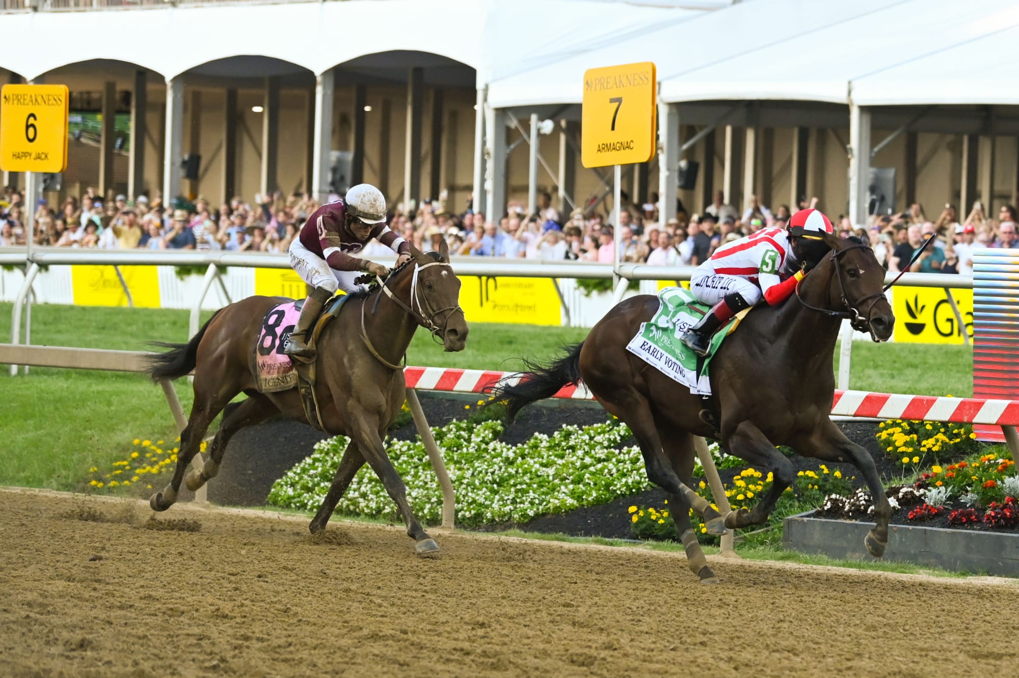 Preakness Stakes betting payouts 2022 Trifecta, superfecta payouts