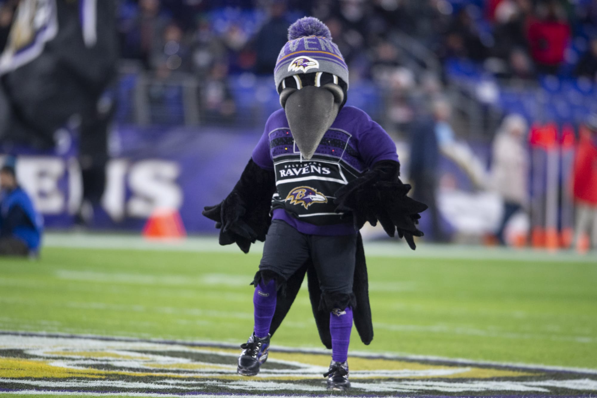 Ravens mascot “Poe” sidelined for the season with knee injury