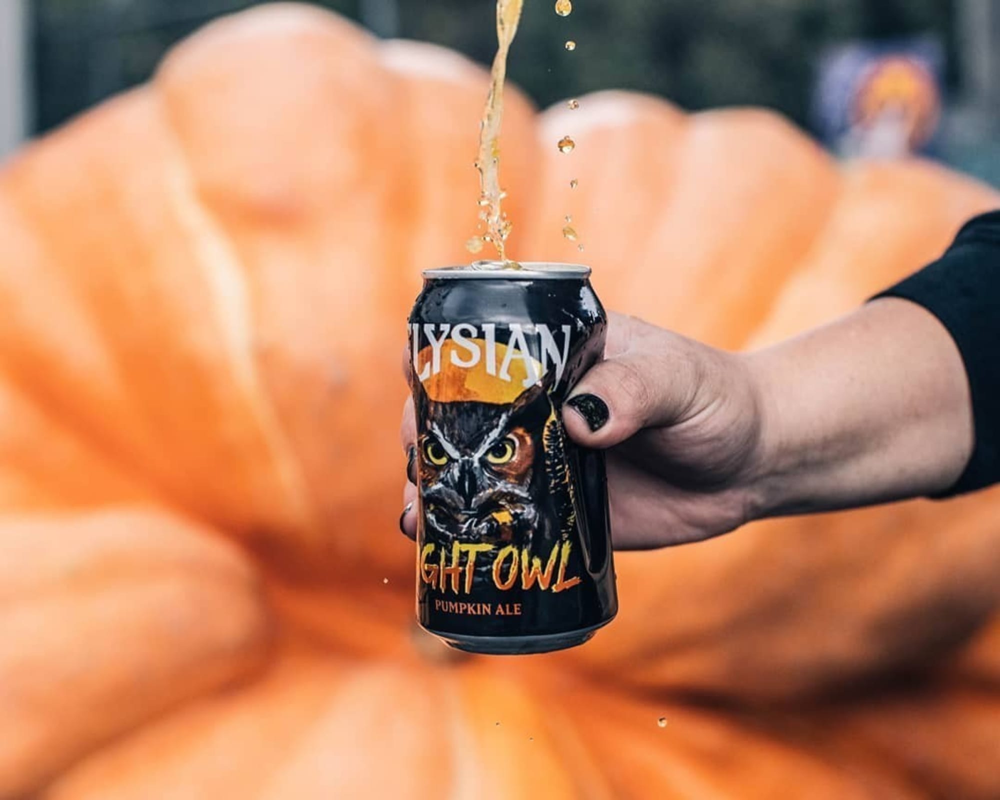 Elysian Great Pumpkin Beer Festival goes beyond the gourd
