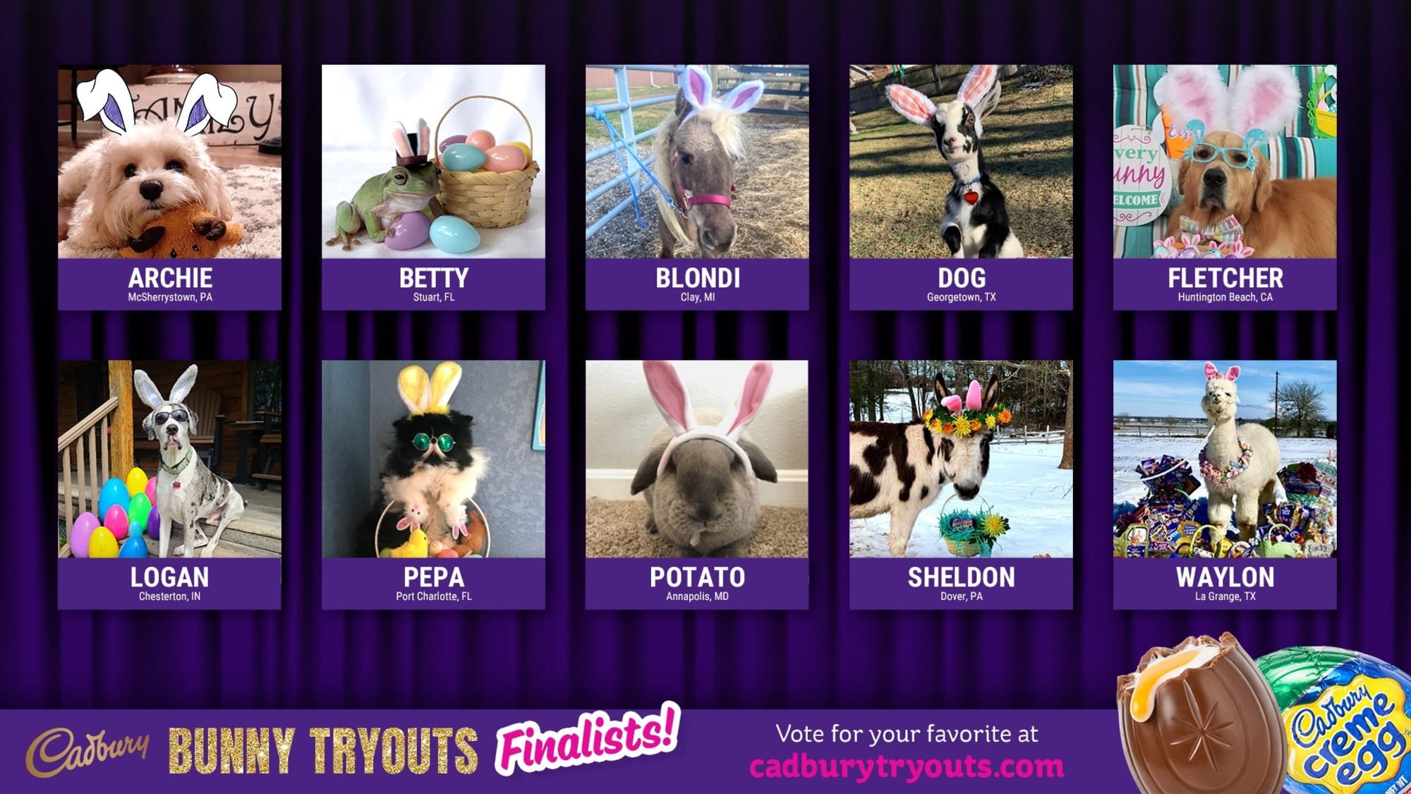 2021 Cadbury Bunny winner hopped to victory