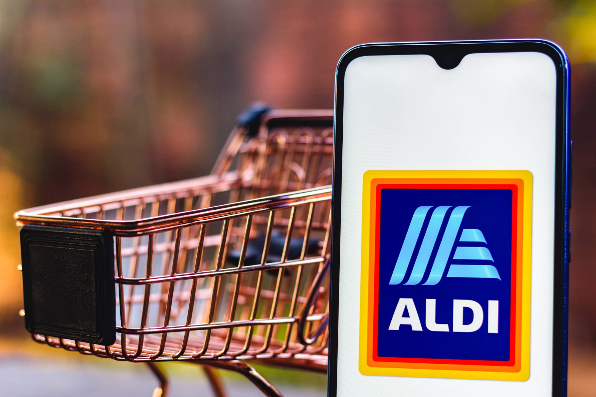 ALDI wants shoppers to know holiday shopping may look different this year