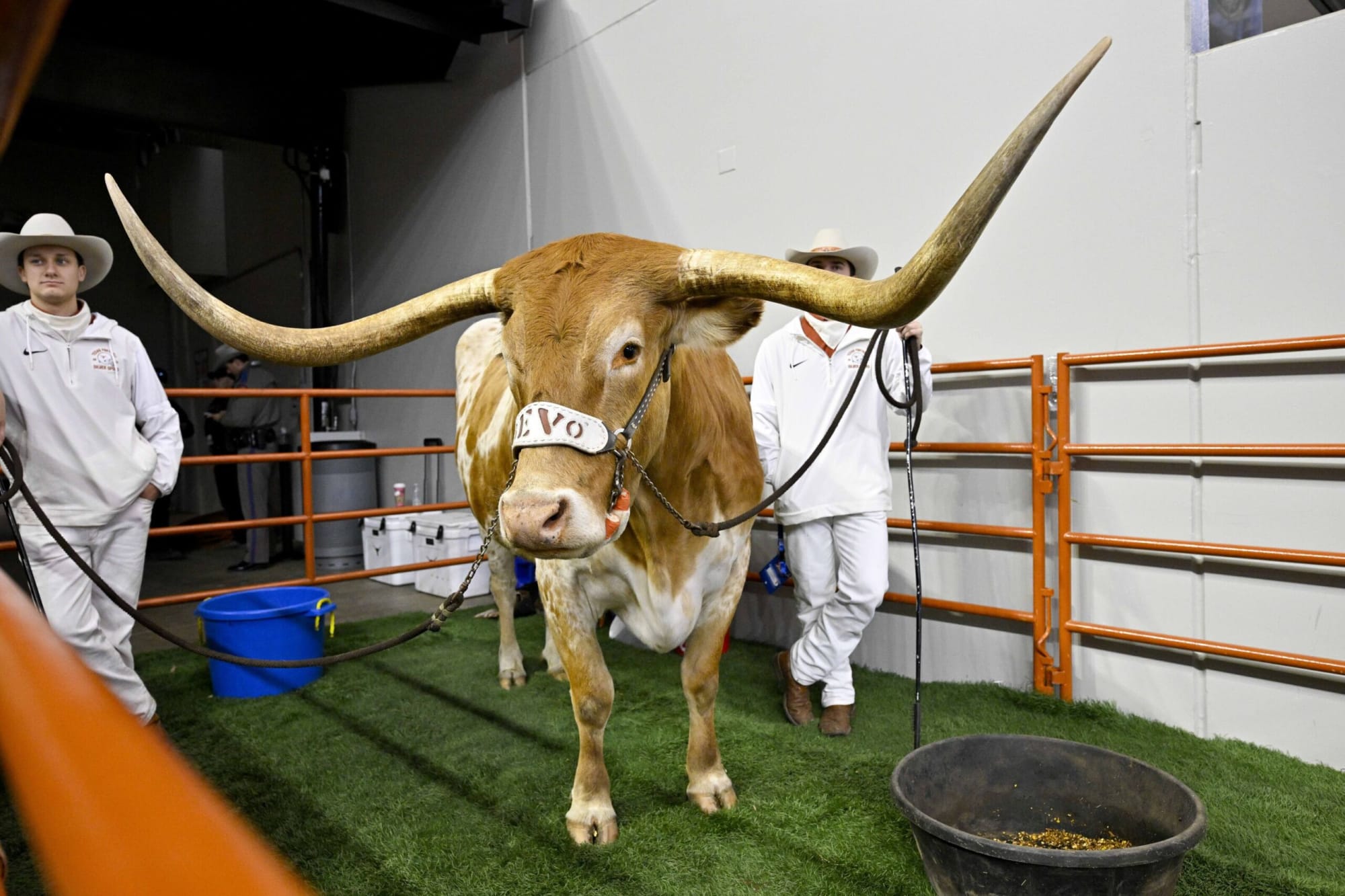 Texas Longhorns 2024 Recruiting Class Targets and Potential Flips