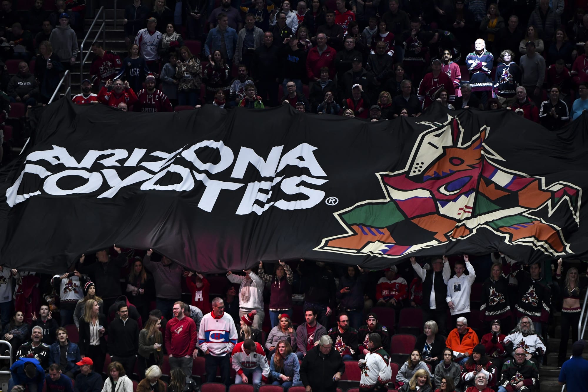 How many wins do the Arizona Coyotes need to make the playoffs
