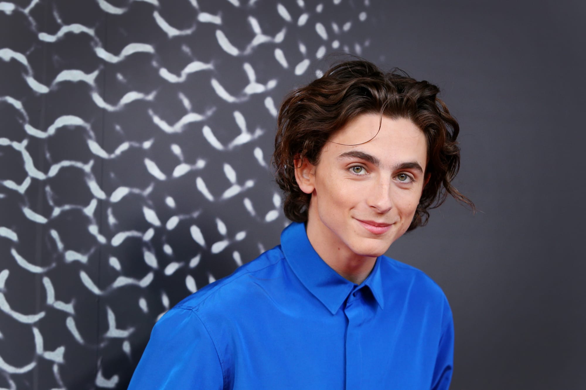 Saturday Night Live Timothée Chalamet introduces the world to Tiny Horse