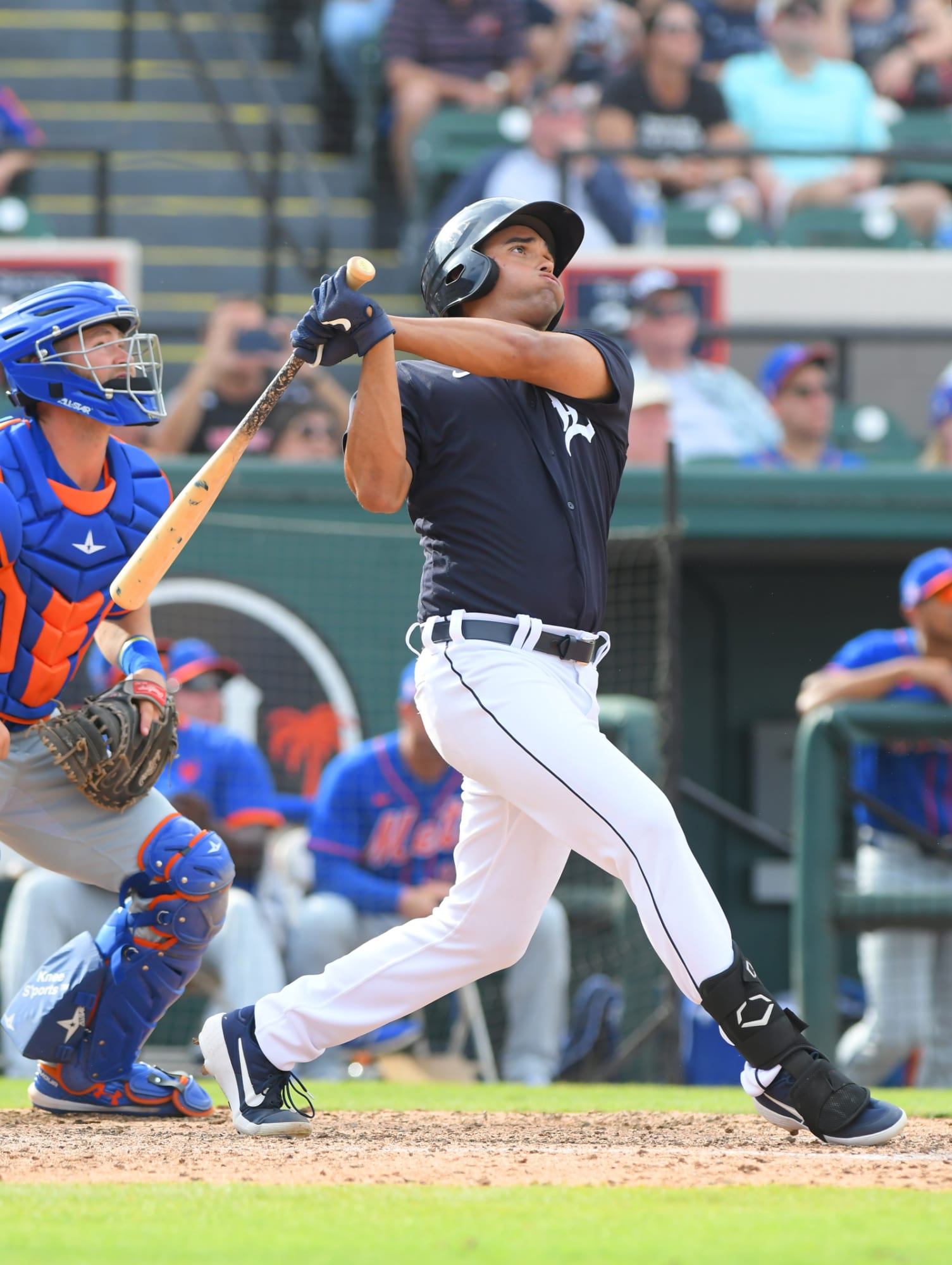 Detroit Tigers Top Prospects The Lists are Coming!
