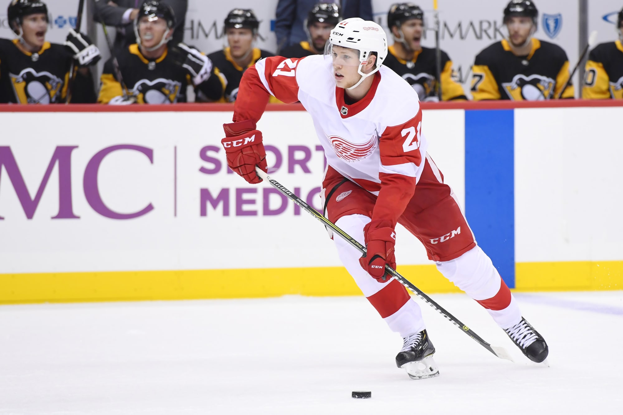 Detroit Red Wings: Prospects that are Making a Roster Push