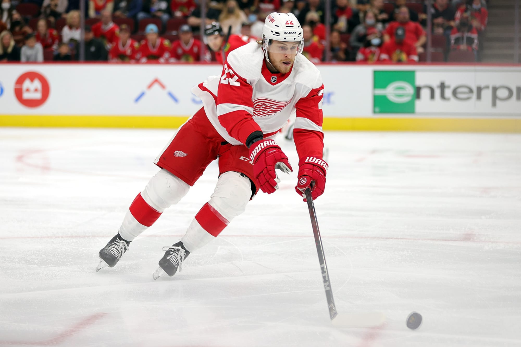 Red Wings: Lucas Raymond Scores in 6-2 Victory Over Buffalo