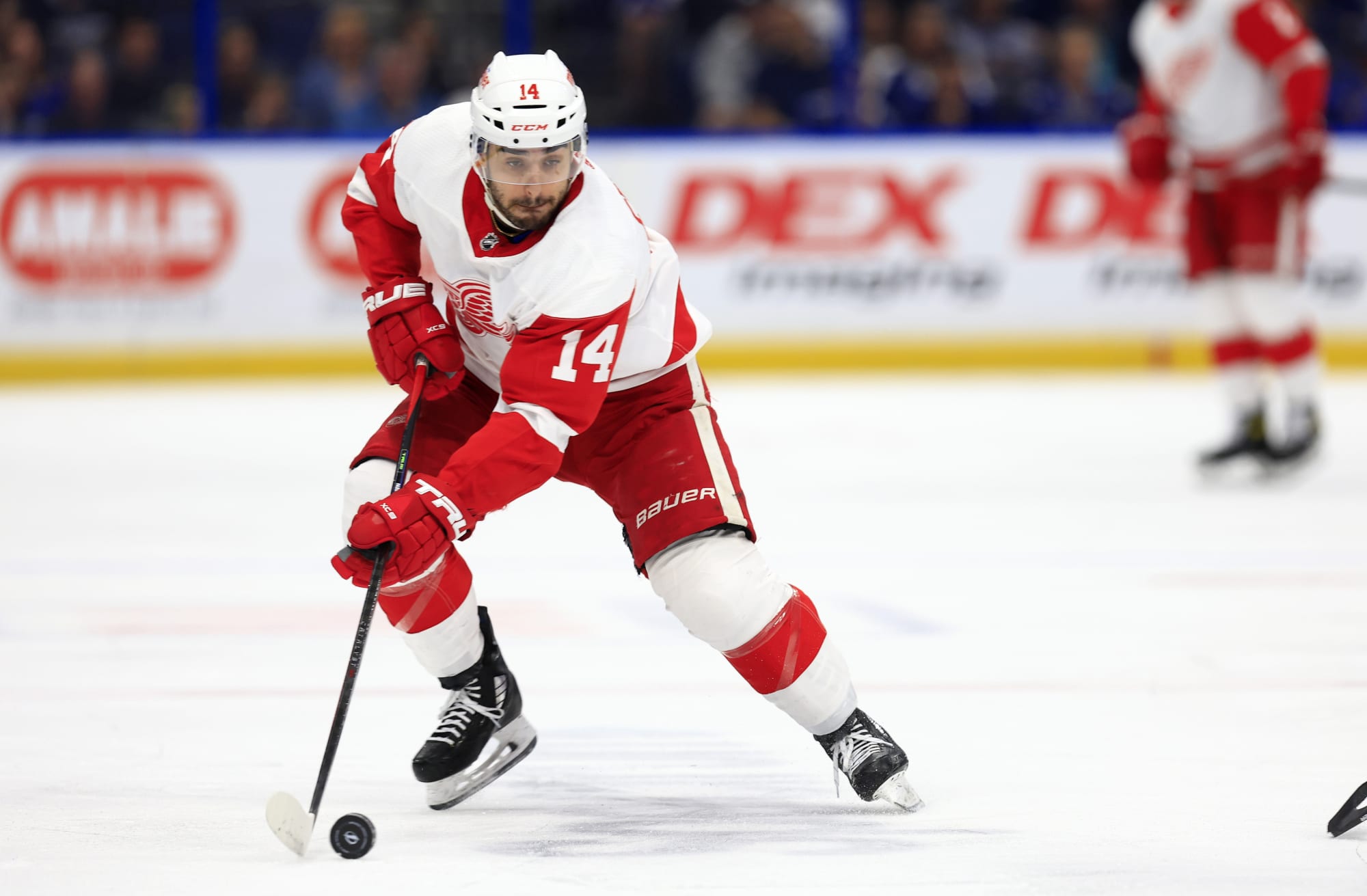 Red Wings: Robby Fabbri's return will feel like a mid-season acquisition