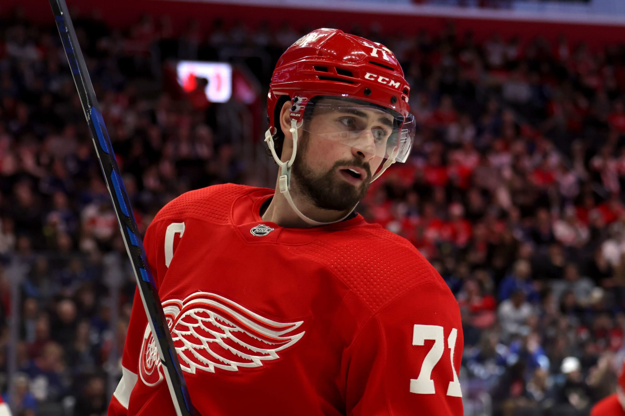 Detroit Red Wings: Playoffs is the talk of training camp