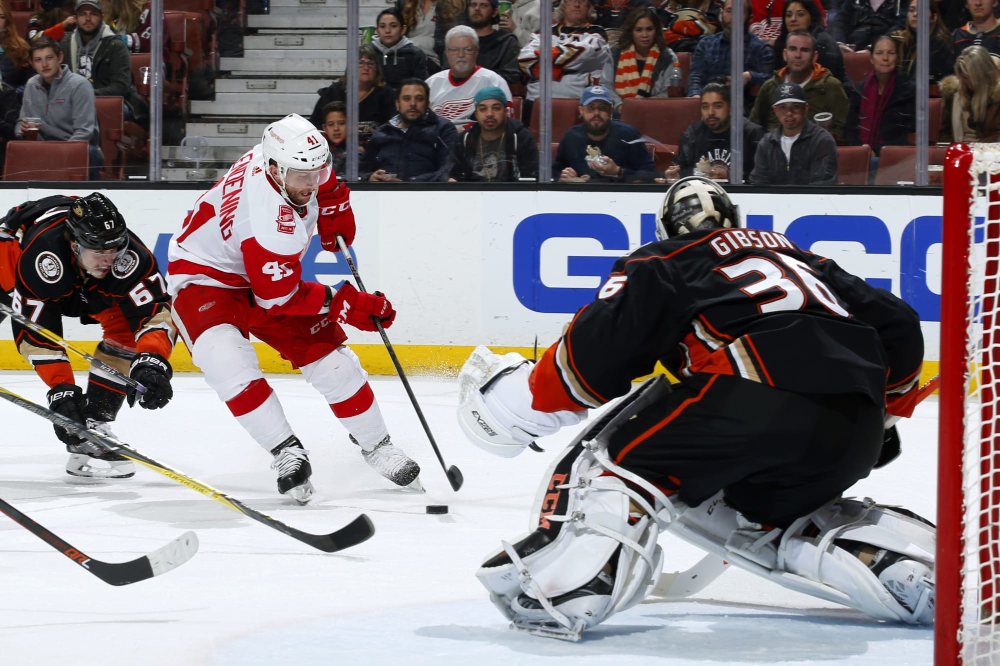 Detroit Red Wings Continue to Search for First Win in Anaheim