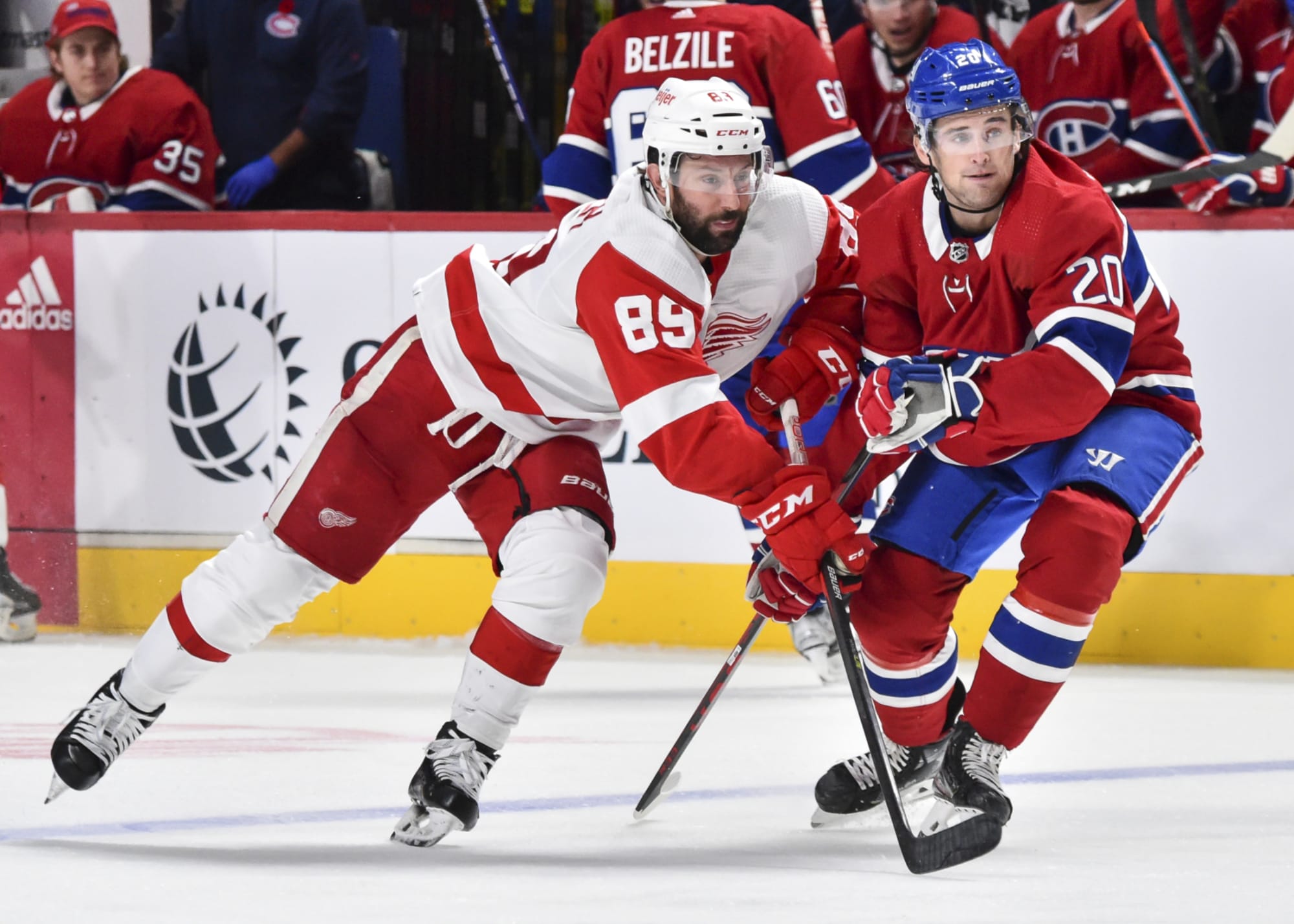 Game 16: Detroit Red Wings Host Montreal Canadiens Tonight