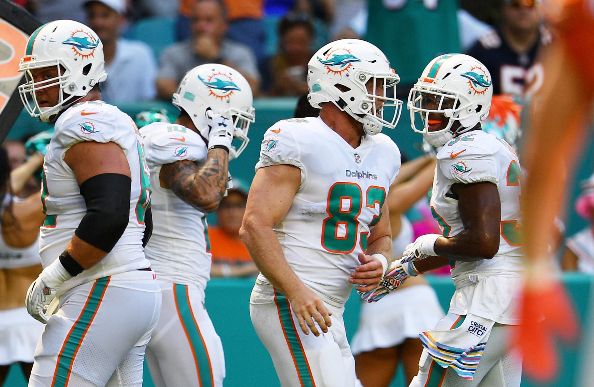 Miami Dolphins precamp 53 man roster prediction at tightend