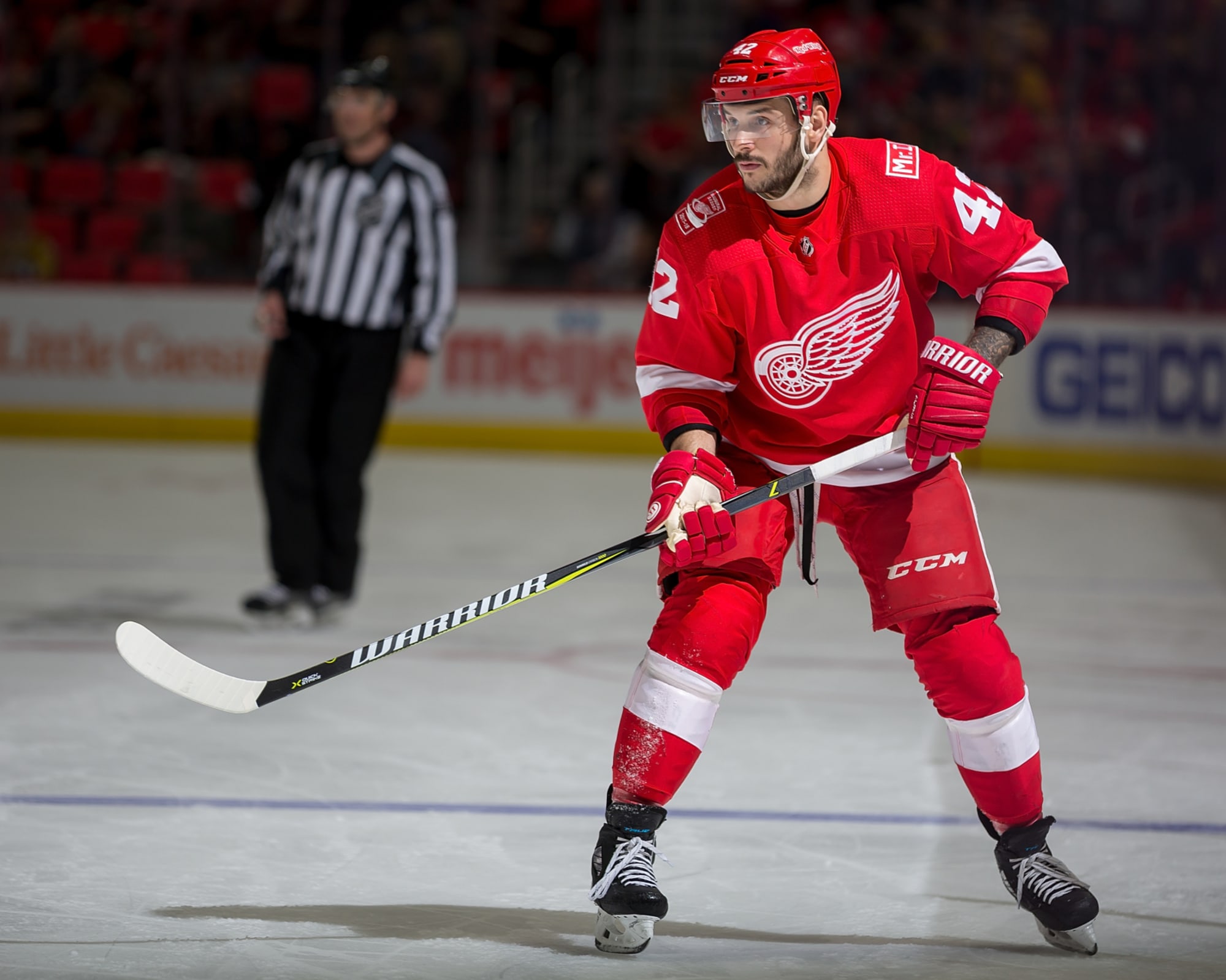 Detroit Red Wings: Martin Frk Will Not Get a Qualifying Offer