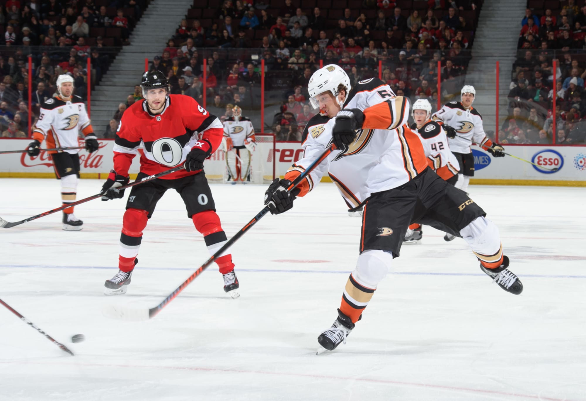 Anaheim Ducks vs Senators: Betting Odds, Fantasy, Cellar Dwellers