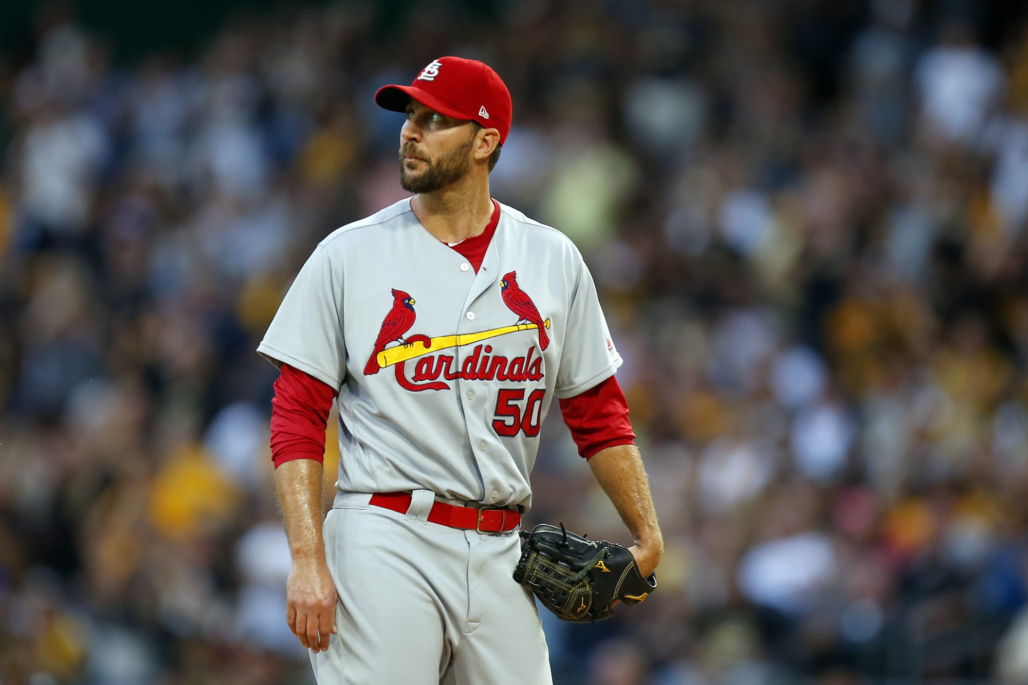 St. Louis Cardinals: Waiver wire for starting pitching