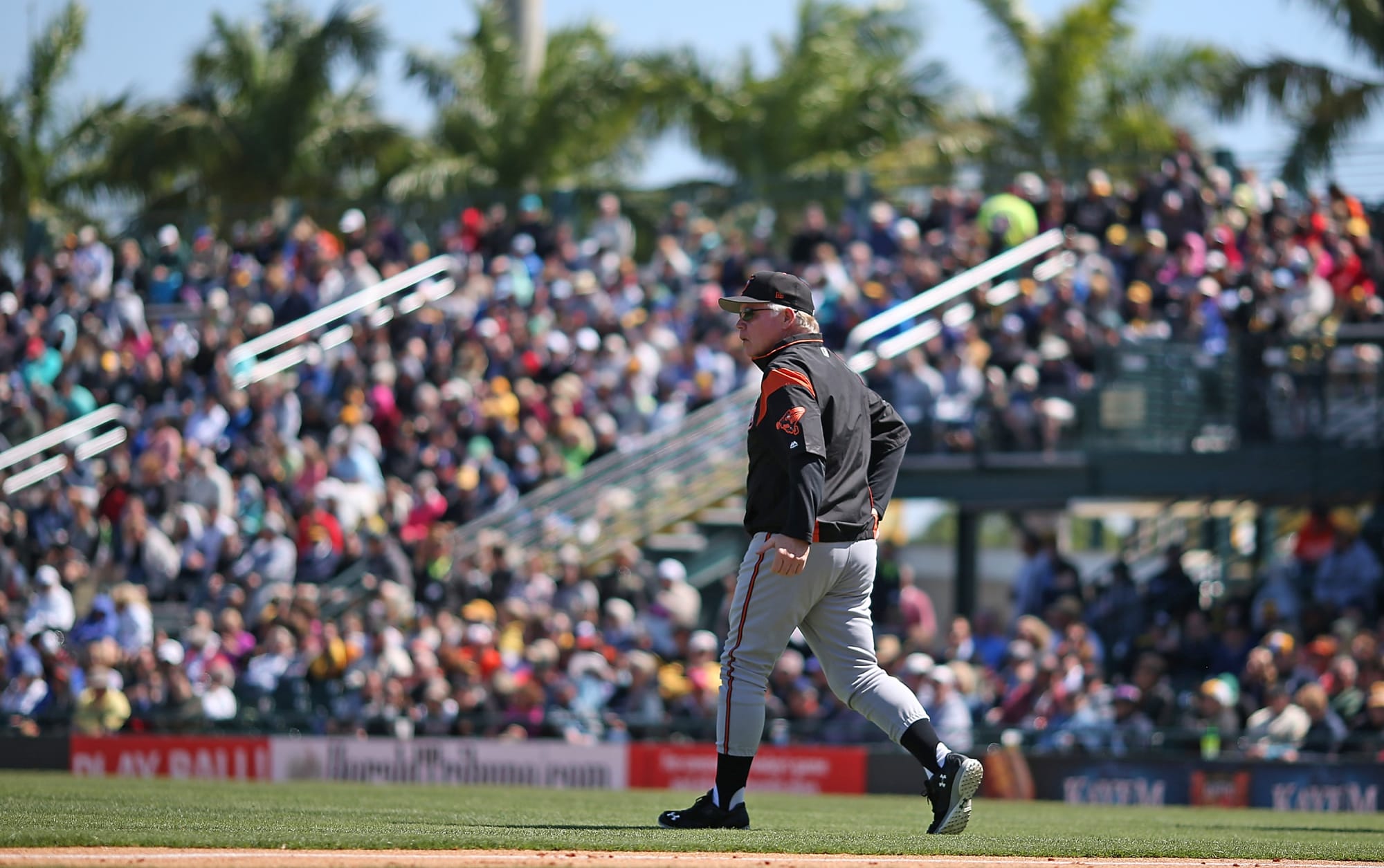 Baltimore Orioles Spring Training Day 1 Highlights, Linecum Showcase