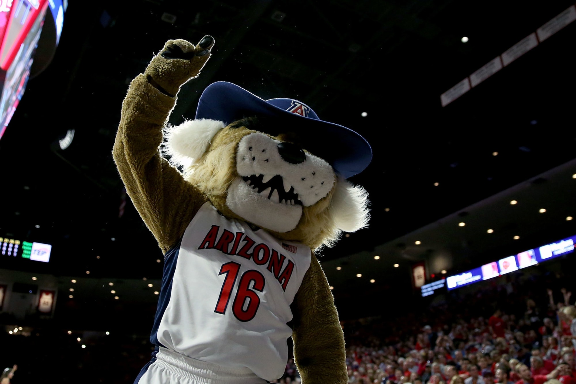 Arizona Basketball Wildcat commit Dalen Terry elevated to fivestar status