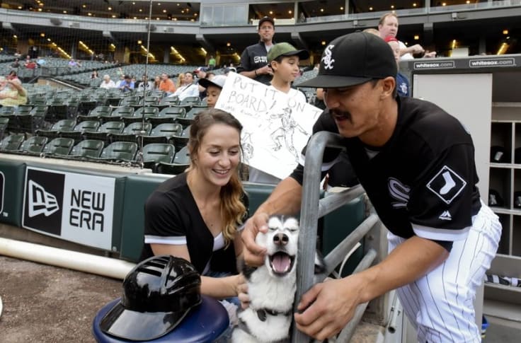 Chicago White Sox Draw 1,122 Dogs in Win Over Indians