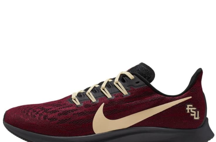 Comida Contiene rociar Florida State Seminoles fans need these new Nike shoes