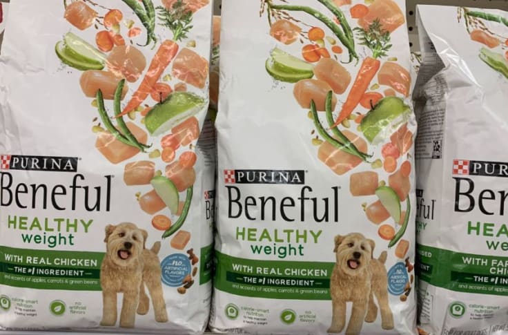 purina beneful healthy puppy with real chicken dry dog food