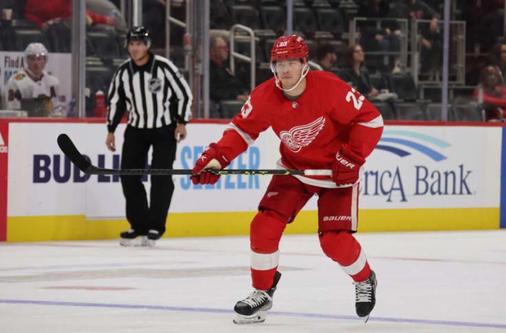 Red Wings training camp final thoughts: Observations on Lucas